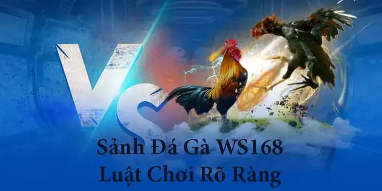 Bí Kíp Chơi Đá Gà WS168 Tại SB365 Giúp Kê Thủ Hốt Bạc