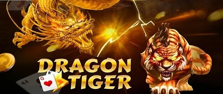 Bí Kíp Chơi Dragon Tiger Tại SB365 Thắng Lớn Siêu Dễ Dàng